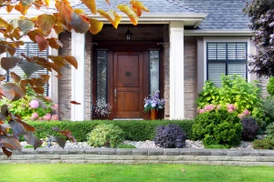 new-wood-front-door